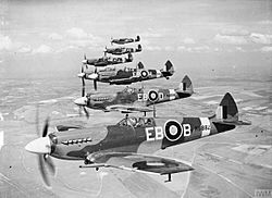 Archivo:Supermarine Spitfire F Mk XIIs of 41 Sqn