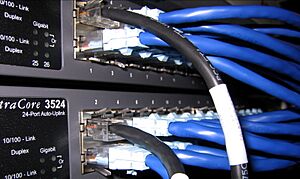 Archivo:Switch-Ethernet-Connection