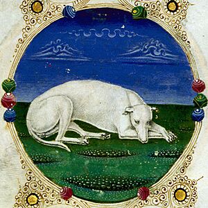 Archivo:Taddeo crivelli, bibbia di borso d'este 03
