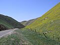 TemblorMountainsSpringtime