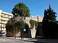 Torrelló del Pi de Gandia