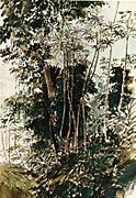 Vegetacion Tropical Camille Pissarro