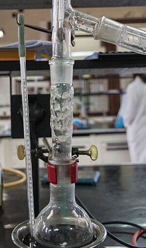 Archivo:Vigreux column lab