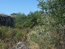 Archivo:Vista interior del fortín romano de La Calzada de Béjar