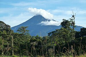 Archivo:Volcán Sumaco 2015-06-14 (1) (40391577161)