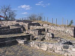 Archivo:Zona Arqueológica de Xochipala, Eduardo Neri, Guerrero- Xochipala Arqueologic Zone, Guerrero (24630473250)