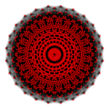 2 41 t0 p24