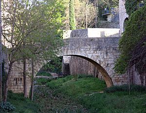 Archivo:440 Pont sobre el Galligants (Girona)