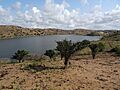 African lagoon (14689197199)