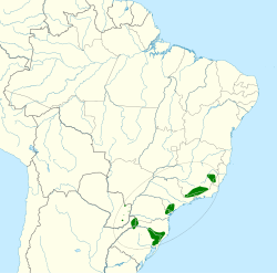 Distribución de Amazona vinacea