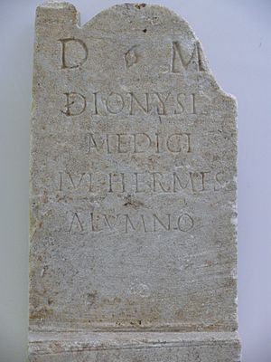 Archivo:Arles dionysius medicus
