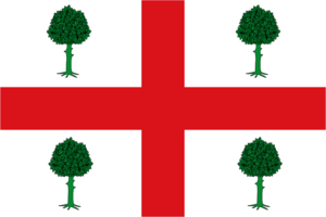 Archivo:Bandera de Navalacruz