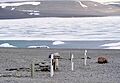 Beechey Island Graves 2 1997-08-02