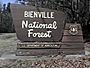 Bienville National Forest.jpeg