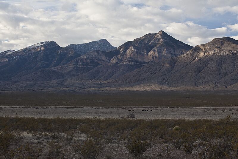 Big Hatchet Mountains WSA (9440550727)