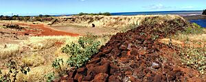 Archivo:Book-Hawaii-Vtorov-Kauai-009