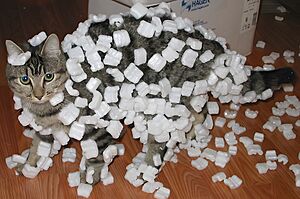 Archivo:Cat demonstrating static cling with styrofoam peanuts upscayled 4x