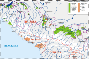Archivo:CircassianinRu