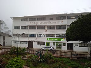 Archivo:Colegio San Juan Nepomuceno