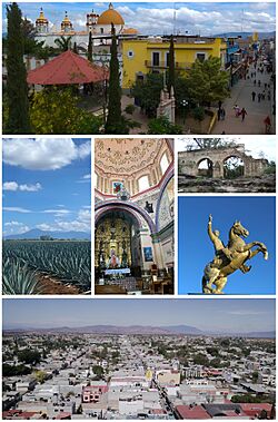 Collage de Miahuatlan Oaxaca.jpg