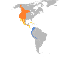 Distribución geográfica del pibí occidental.