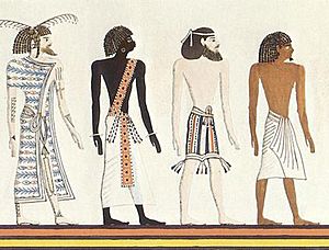Archivo:Egyptian races