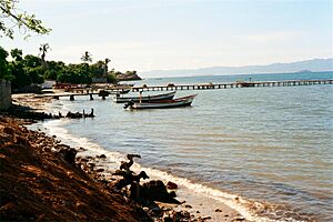 Archivo:El Guamache, Coche Island (1)