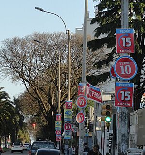 Archivo:Elecciones uruguay 2014 - columnas