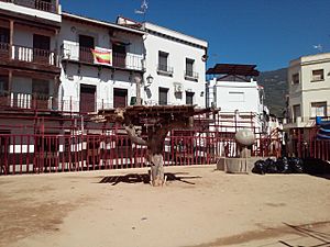 Archivo:Festejos taurinos en Losar de la Vera