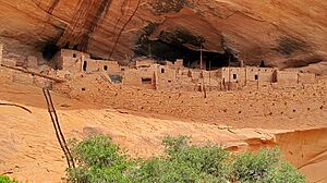 Archivo:Final approach,Keet Seel - Kawestima Navajo National Monument