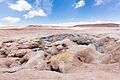 Géiseres Sol de Mañana, Bolivia, 2016-02-02, DD 56