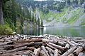 Gold Creek Alaska Lake 0306