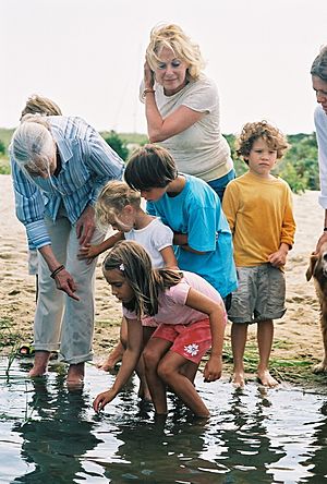 Archivo:Jane Goodall sharing the magical wonders of water and wetlands with children on Martha's Vineyard