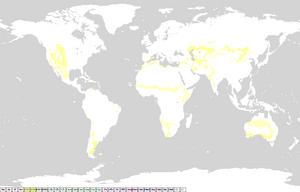 Archivo:Koppen classification worldmap BS