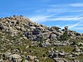 La Pedriza RI-55-0000441 P1070297