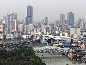 Archivo:Manila downtown - Binondo, Quiapo, Quezon Bridge, Pasig River, Arroceros (close-up) (Manila)(2018-02-07)