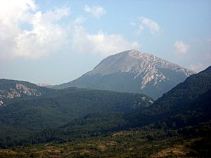 Archivo:Mont Pollino