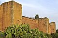Niebla, murallas 5