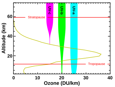 Archivo:Ozone altitude UV graph