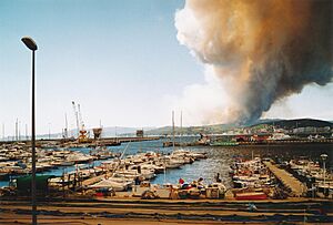Archivo:Palamos Waldbrand bei Platja d’Aro