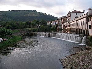Archivo:Río Bidasoa en Elizondo