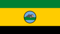 Río Negro Flag