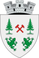 ROU SV Brosteni CoA
