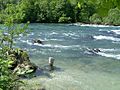 Rapids before the Rhine Falls