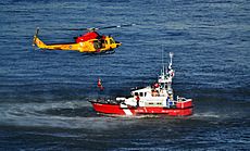 Archivo:Rescue exercise RCA 2012