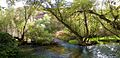 Riberas del Henares