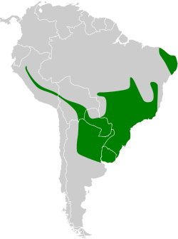 Distribución geográfica del batará variable.
