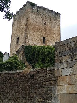 Torre medieval en Cidad de Valdeporres.jpg