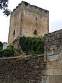 Torre medieval en Cidad de Valdeporres