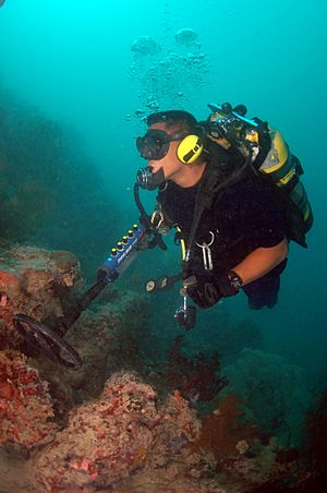 Archivo:US Navy 070321-N-5329L-001 Navy Diver 1st Class Larry Polendey, of the Joint POW-MIA Accounting Command, searches for additional wreckage using an underwater metal detector near a World War II site off the coast of Koror, Palau